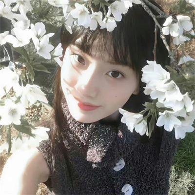 咸鱼哥第二季